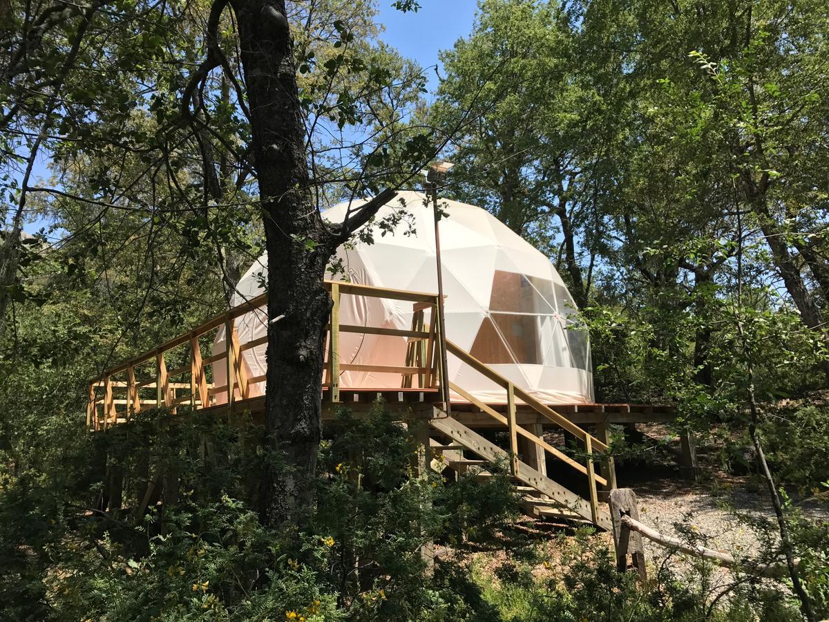 Glamping Domos Treepod Hotell Las Trancas Exteriör bild